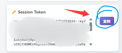 复制 Session Token